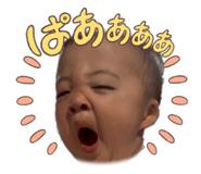 857705520