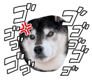 857705874