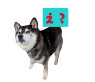 857705877