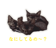 857705970