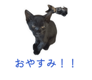 857705973
