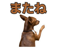 857706317