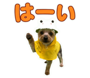 857706325