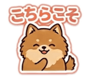 857707079