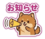857707085