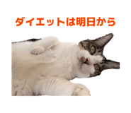 857707217