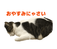 857707218