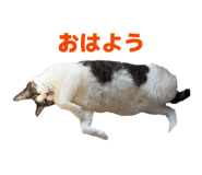 857707219