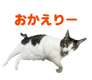 857707221