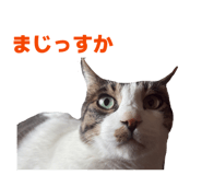 857707223