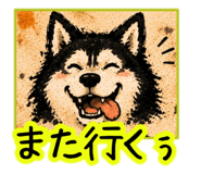 857707798
