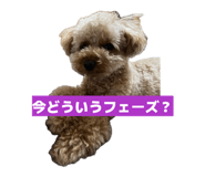 857708039