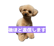 857708045
