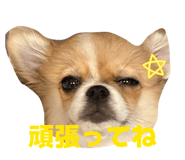 857708396