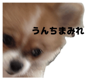 857708398