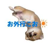 857708399