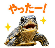 857708689