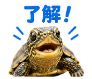 857708691