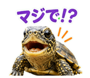857708696