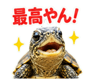 857708697