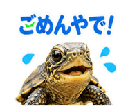 857708699
