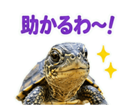 857708701
