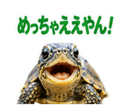 857708702
