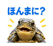 857708703