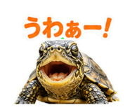 857708704