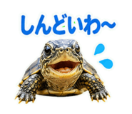 857708708