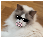 857708747