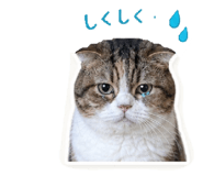857708764