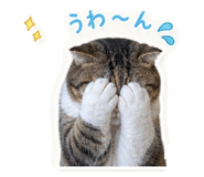 857708767