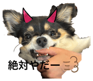 857708993
