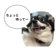 857708998