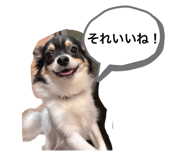 857709000