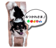 857709001
