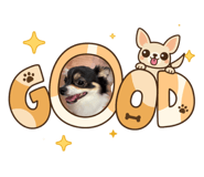 857709003