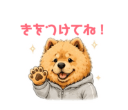 857709049
