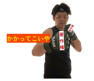 857709186