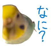 857709193