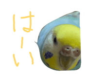 857709196