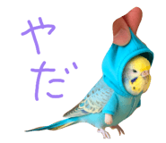 857709198