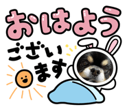 857709320