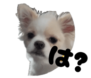 857710257