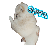 857710264