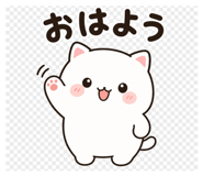 857710598