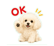 857710716