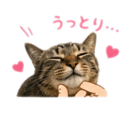 857710742