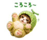 857710998